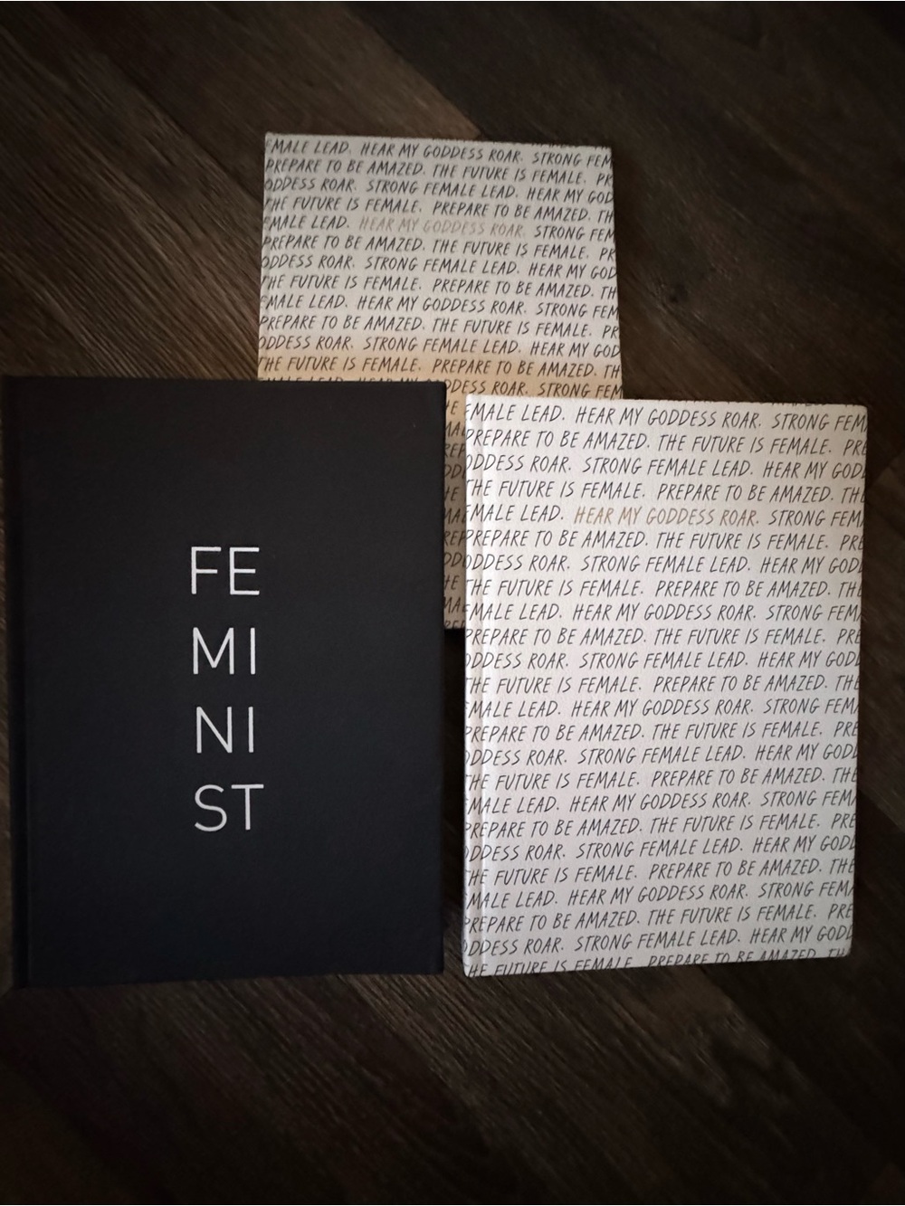 3 Hardcover Notebook Journal - feminist themed